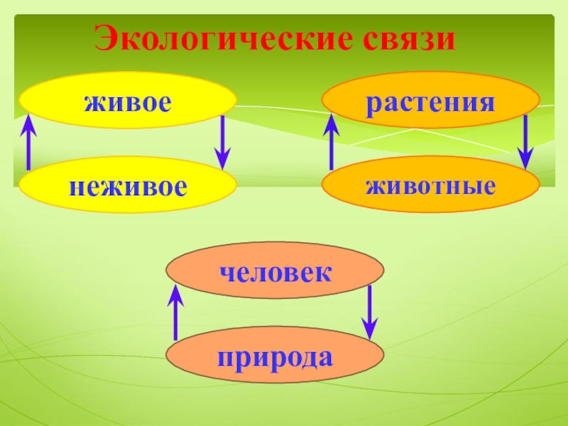 Экология 3 класс окружающий мир презентация