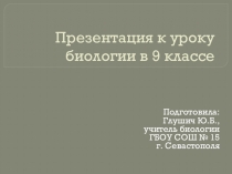 Презентация Доказательства эволюции человека