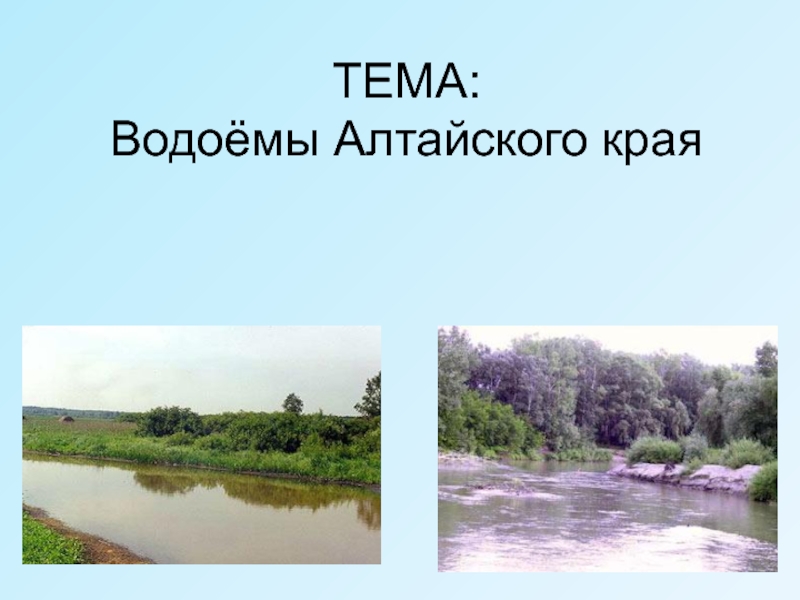 Презентация Презентация по окружающему миру Водоёмы Алтайского края