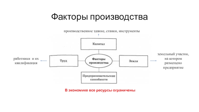 Презентация на тему моя фирма