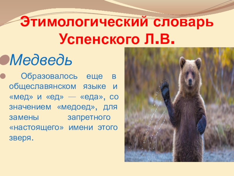 Значение слова медведь