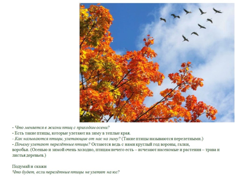 Изменение природы с приходом осени. Признаки наступления осени. Признаки прихода осени. Что меняется с приходом осени. Признаки дерева осенью.