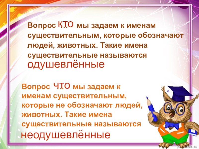 Имя существительное 2 класс презентация. Вопрос кто мы задаем к именам. Вопросы по существительному. Вопрос что мы задаем к именам существительным которые обозначают. Вопрос кто мы задаем к именам существительным которые обозначают.