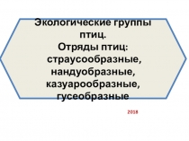 Презентация по биологии на тему Экологические группы птиц. Отряды птиц: страусообразные, нандуобразные, казуарообразные, гусеобразные (7 класс)