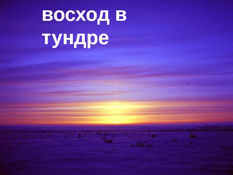 Восход в тундре