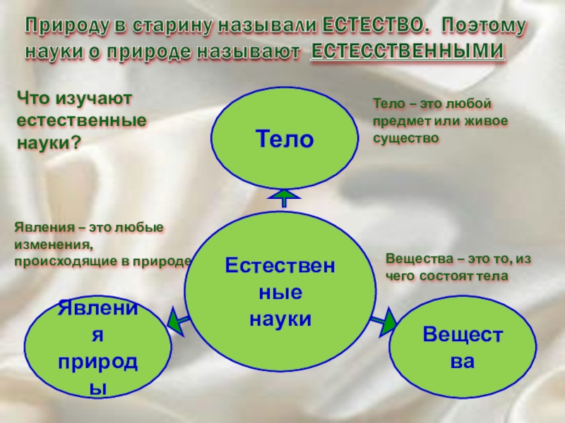 Презентация по естествознанию