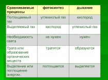Презентация к уроку Испарение