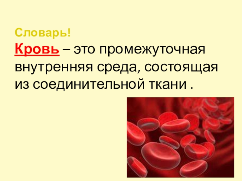 На рисунке изображена соединительная ткань кровь какова особенность этой ткани