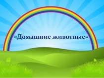 Домашние животные(старшая группа)