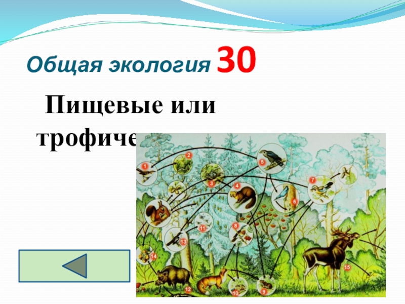 Что общего в природе. Игра по экологии 10 класс. Экология 9 класс. Игра по экологии 10 класс презентация.