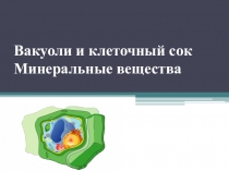 Презентация по биологии 6 класс строение клетки