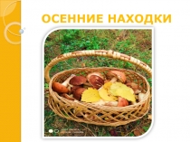 Презентация для старших дошкольников по познавательному развитию Осенние находки