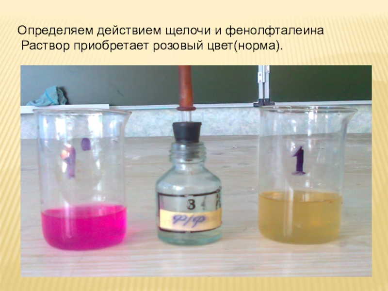 Кислоты и щелочи в быту презентация