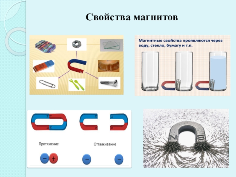 Свойства магнита картинки для дошкольников