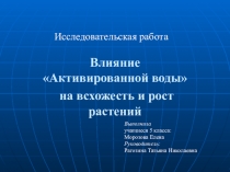 Презентация по биологии на тему Влияние активированной воды на всхожесть и рост семян пшеницы