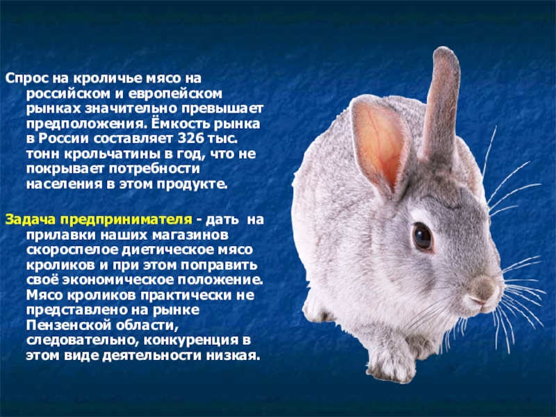 Спрос на кроличье мясо на российском и европейском рынках значительно превышает предположения. Ёмкость рынка в России составляет
