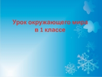 Презентация по окружающему миру Зимующие птицы