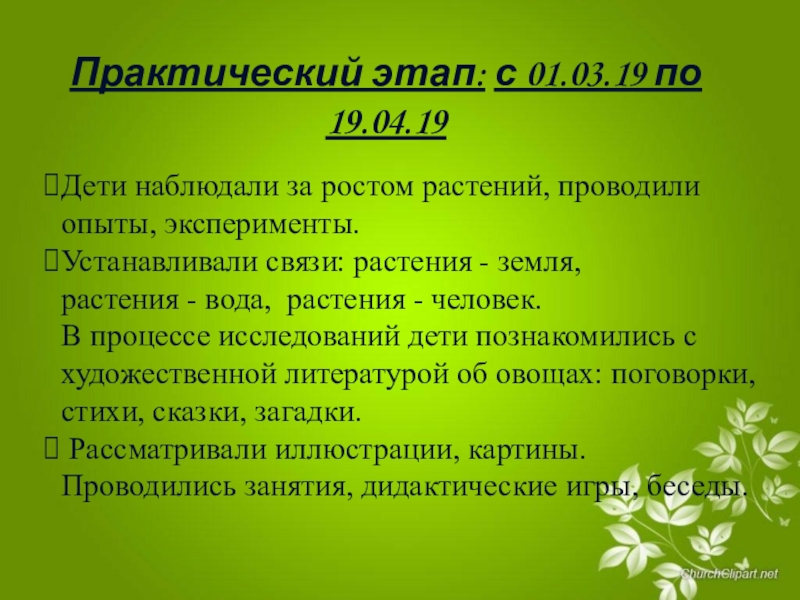 В честь какого растения проводят трехмесячный фестиваль