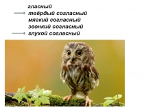 Звуковой анализ слов 1 класс