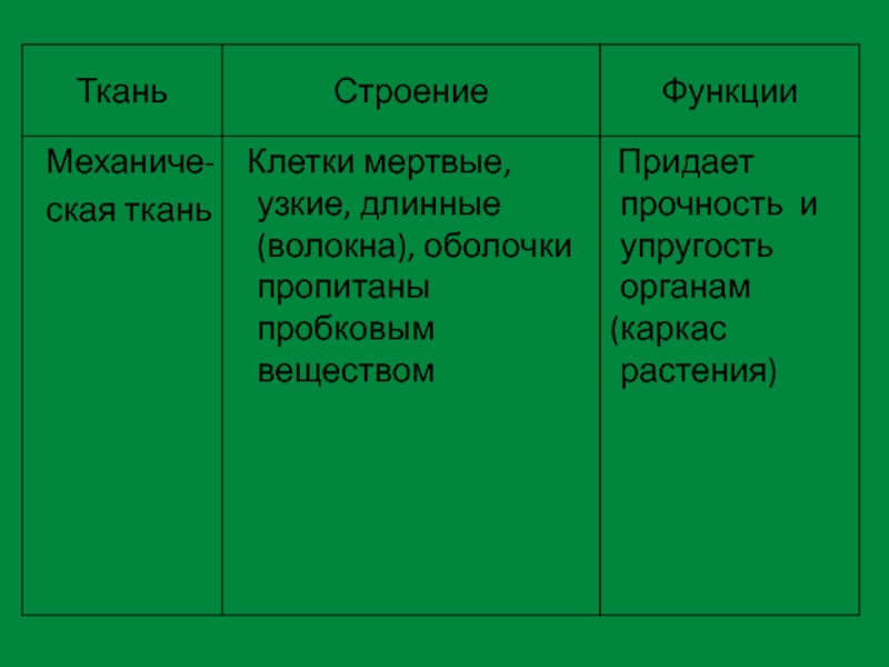 Ткани из мертвых клеток. Ткани придающие прочность растениям. Клеткам растения упругость?. Что придает прочность клетке растения. Прочность органам растений придает ткань.