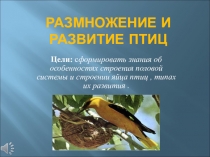 Презентация к урокуРазмножение и развитие птиц