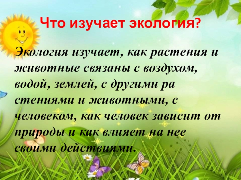 Что изучает наука экология. Что изучает экология. Что изучает экология 3 класс. Экология изучает как растения и животные. Что изучает экология ЖИХВ.