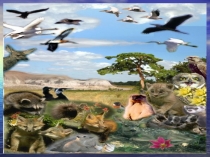 Презентация