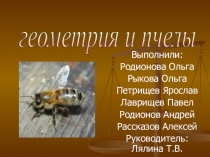 Проект по математике на тему Пчелы и многогранники