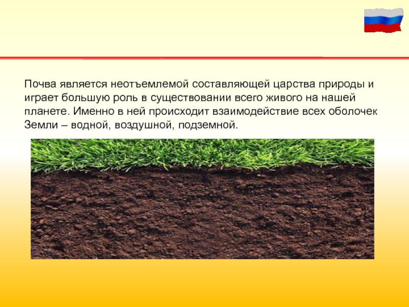 Какие почвы являются. Почва является. Почва является веществом. Почвенная оболочка земли. Главная часть почвы.