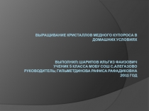 Презентация Выращивание кристаллов медного купороса в домашних условиях