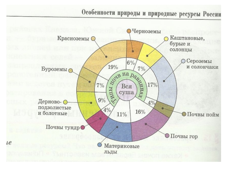 География почв. Почвы России диаграмма. Состав почвы диаграмма. Почвенный состав России. Основные типы почв России диаграмма.