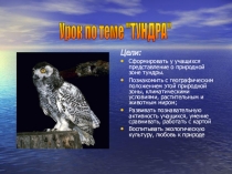 Презентация по окружающему миру на тему Тундра 4 класс