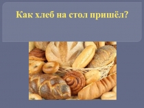 Презентация  Путь хлеба