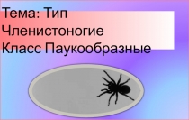Презентация к уроку в 7 классе на тему Паукообразные