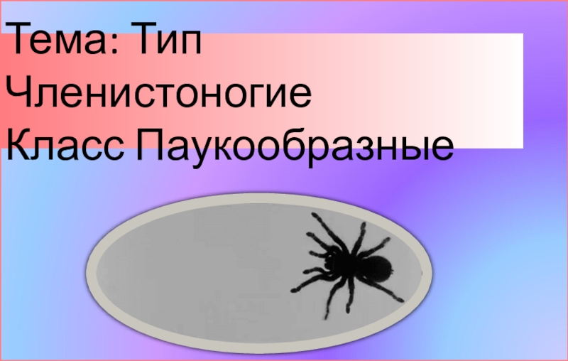 Презентация 7 класс по биологии класс паукообразные 7 класс