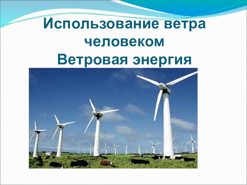 Ветер какой человек. Использование ветра человеком. Влияние энергии ветра на людей. Ветровая энергия в каких странах используется. Страны которые используют ветровую энергию.