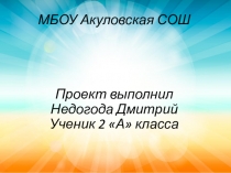 Презентация по литературному чтениюМедведь