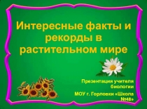 Презентация по биологии Интересные факты и рекорды в растительном мире
