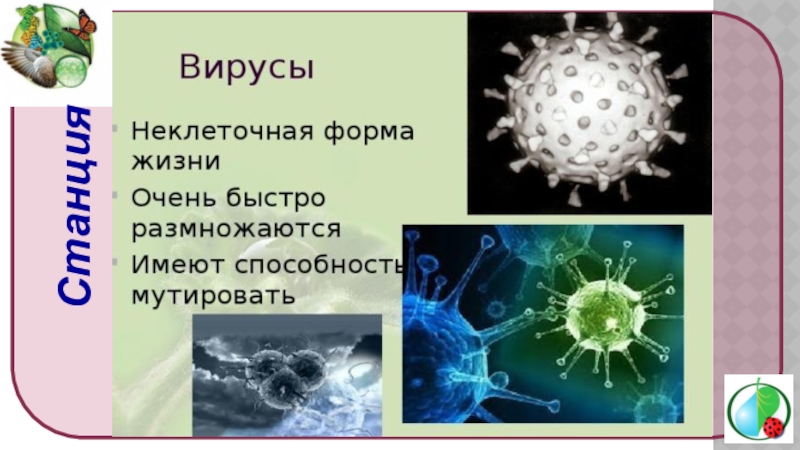 Любой вирус. Вирусы неклеточные формы жизни. Неклеточные организмы вирусы. Вирусы как неклеточная форма жизни. Неклеточное строение вирусов.