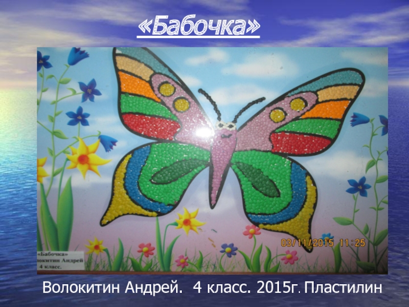 Волокитин Андрей. 4 класс. 2015г. Пластилин«Бабочка»