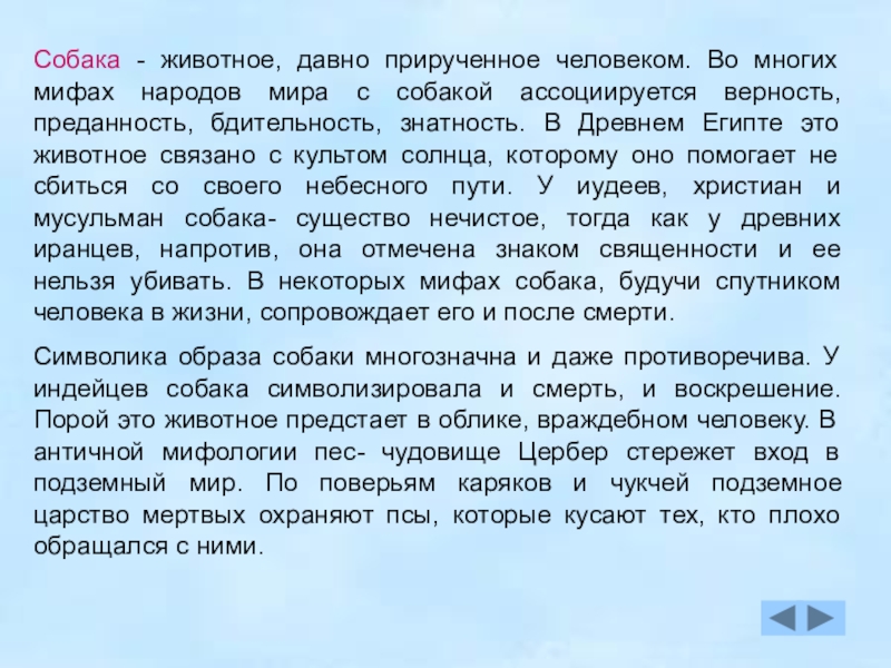 Сочинение любимое. Сочинение на тему собака. Сочинение про животных. Описание собаки сочинение. Мой любимый животный сочинение.