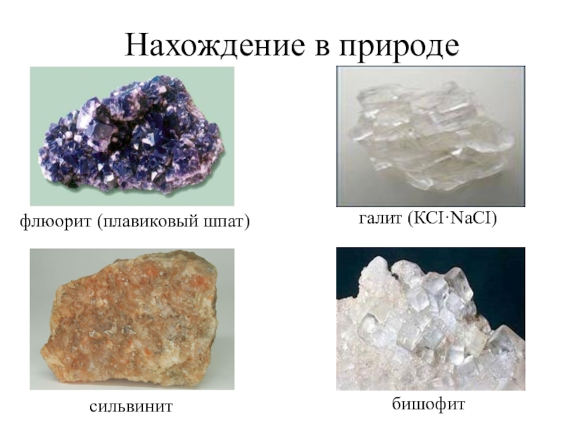 Галогены в природе. Нахождение галогенов в природе. Соединения галогенов в природе. Нахождение в природе Галоганов.