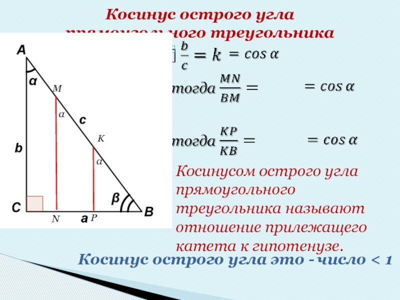 Косинус острого угла  прямоугольного треугольникаMNKPααКосинусом острого угла прямоугольного треугольника называют отношение прилежащего катета к гипотенузе.Косинус острого