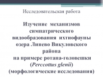 Презентация по темеМеханизмы симпатрического видообразования