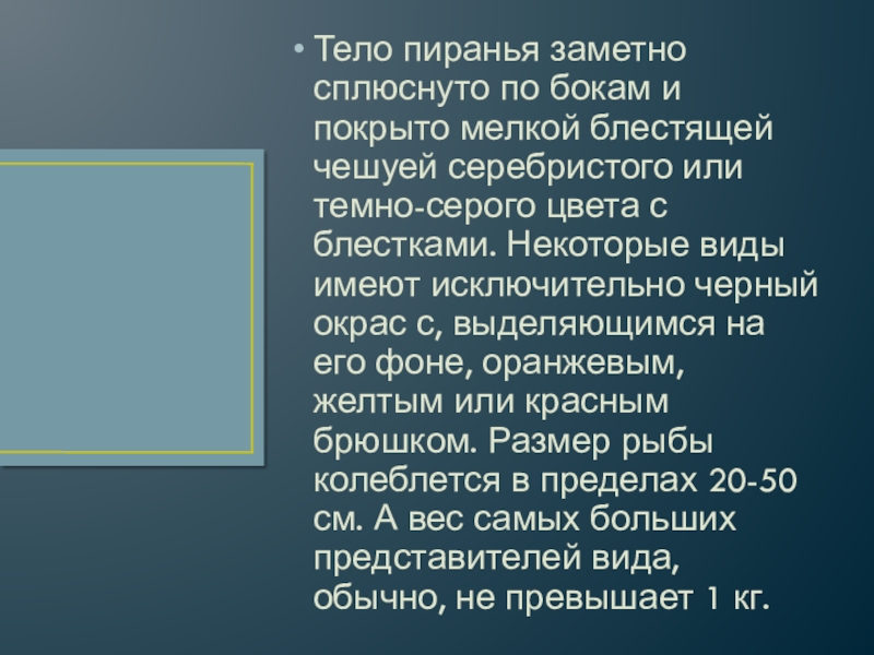 Тело пиранья заметно сплюснуто по бокам и покрыто мелкой блестящей чешуей серебристого или темно-серого цвета с блестками.