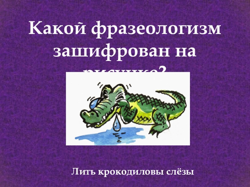 Выражение крокодиловы слезы план