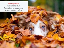 Презентация Контрольная работа №2 Уравнения с одной переменной, 7 класс, алгебра. ФГОС