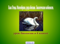 Презентация по биологии на тему  Внутреннее строение птиц (8 класс)