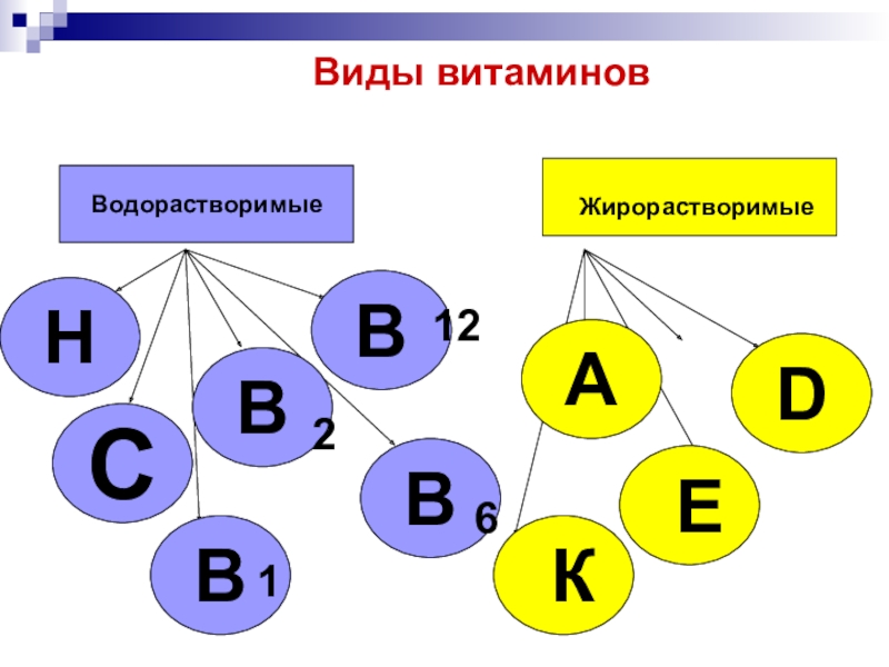 Основные водорастворимые витамины. Схема водорастворимые и жирорастворимые витамины. Виды витаминов. Виды витаминов жирорастворимые и водорастворимые. Группы витаминов схема водорастворимые жирорастворимые.