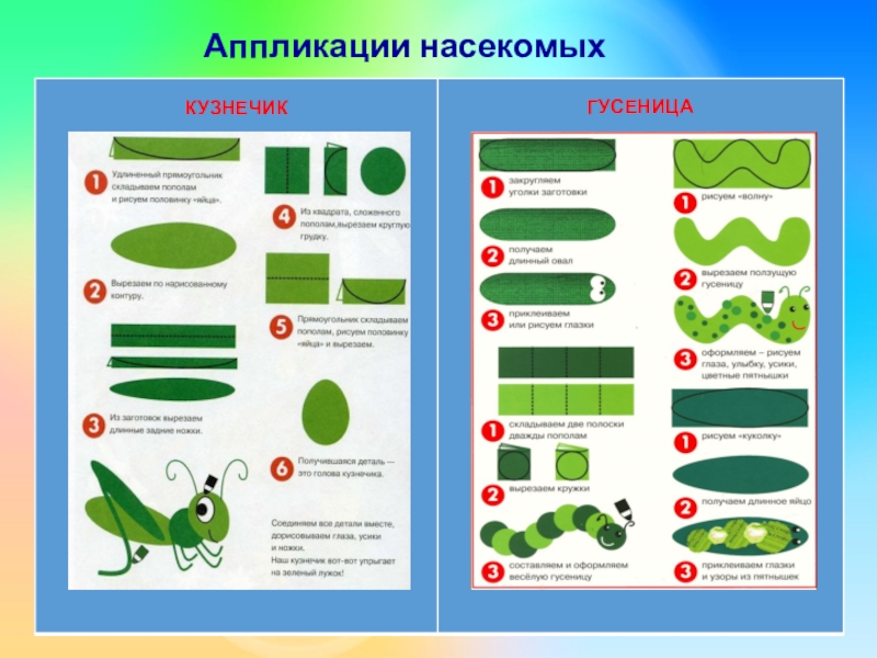 Технологическая карта по теме насекомые